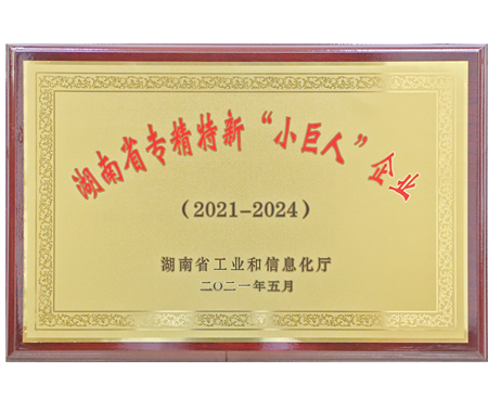 湖南省專精特新“小巨人”企業(yè)