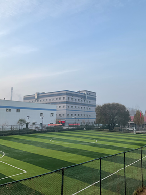 三九簡(jiǎn)介 三九簡(jiǎn)介.png