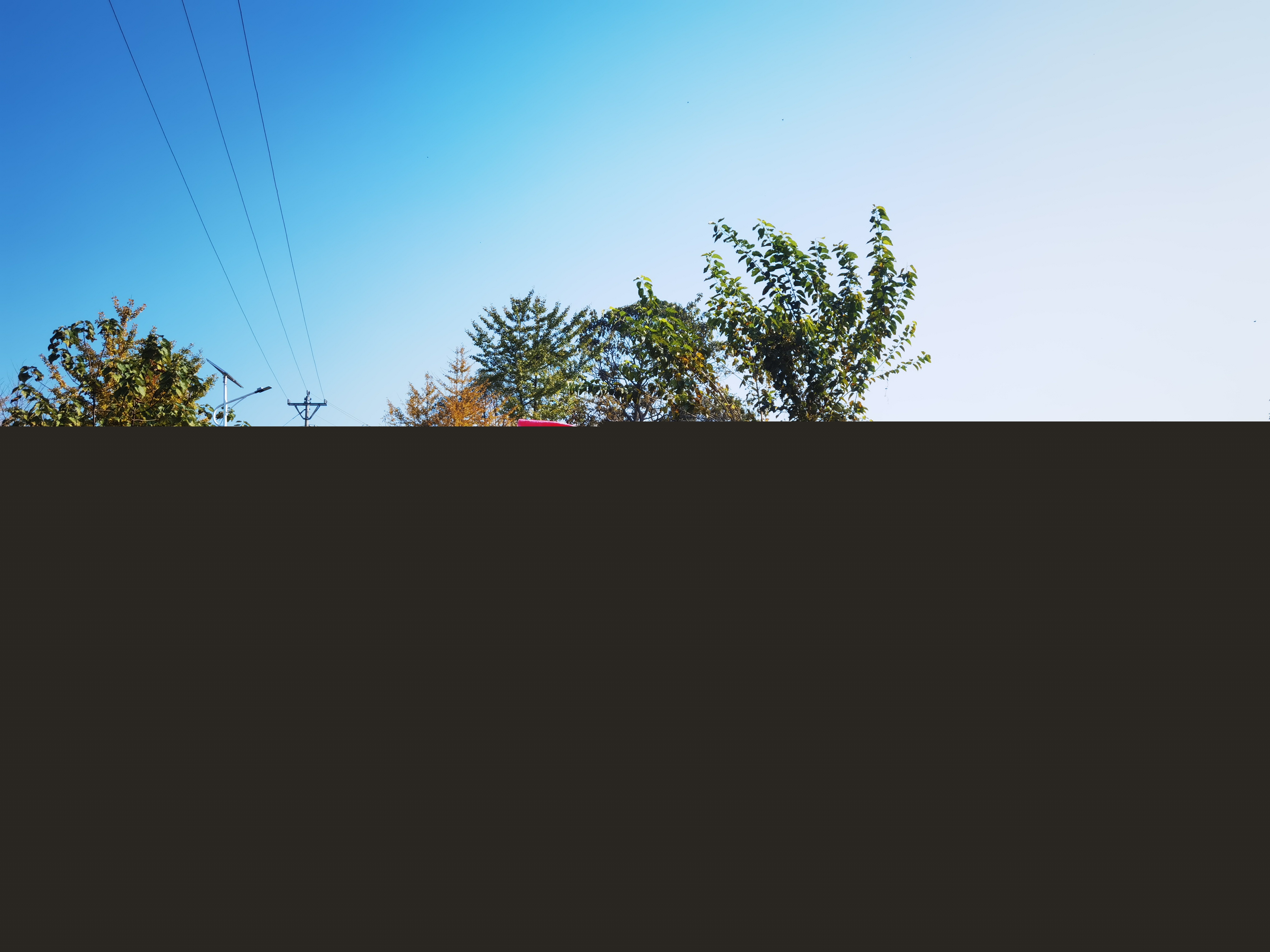 微信圖片_20231116102903 微信圖片_20231116102903.jpg