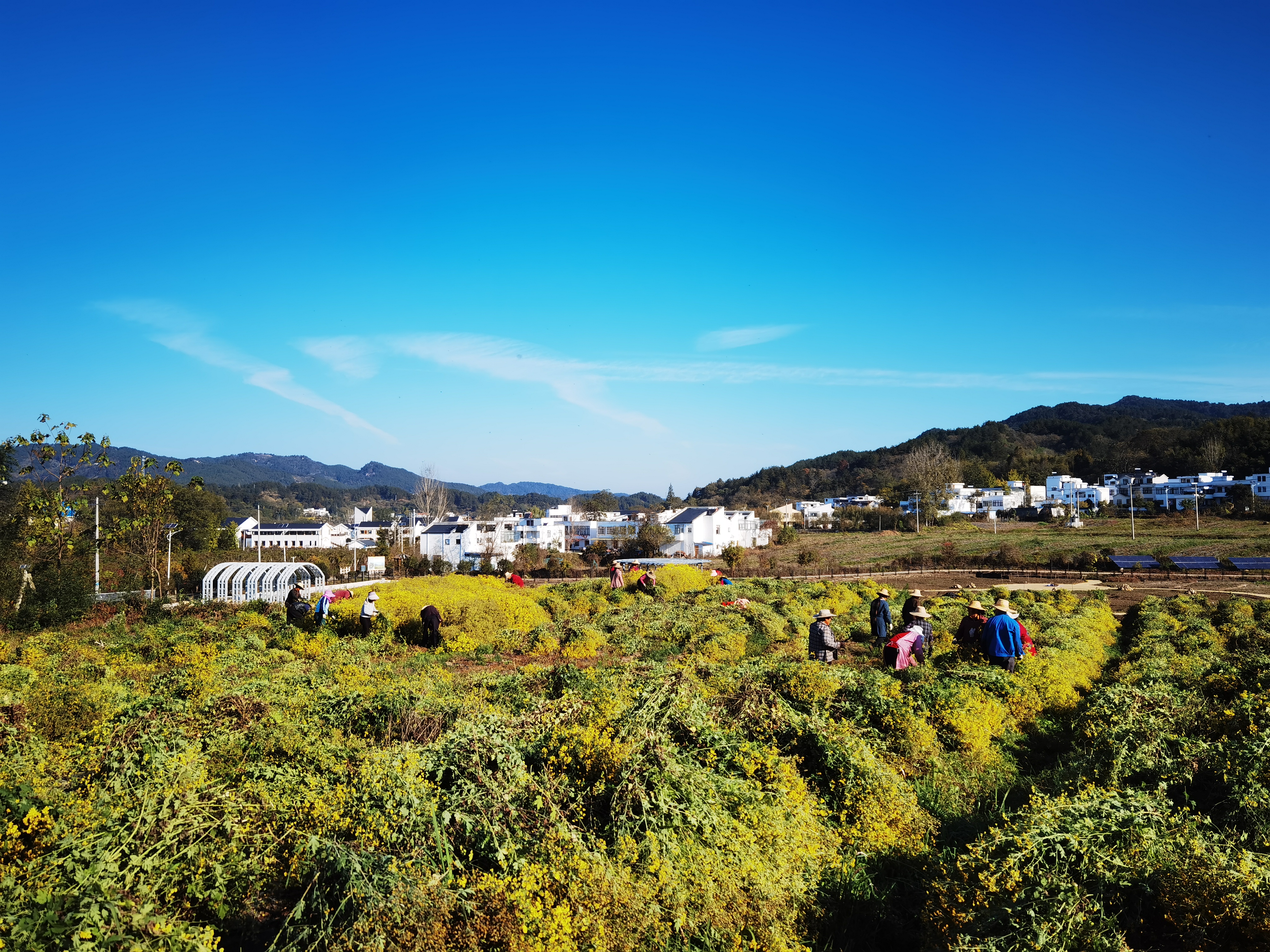 3-基地照片 3-基地照片.jpg